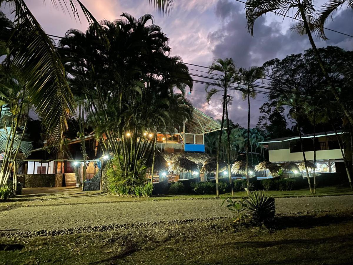 Perla Negra Beachfront Puerto Viejo de Talamanca Dış mekan fotoğraf