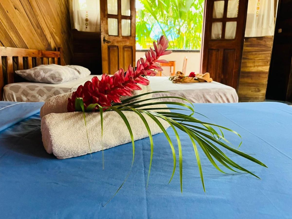 Perla Negra Beachfront Puerto Viejo de Talamanca Dış mekan fotoğraf