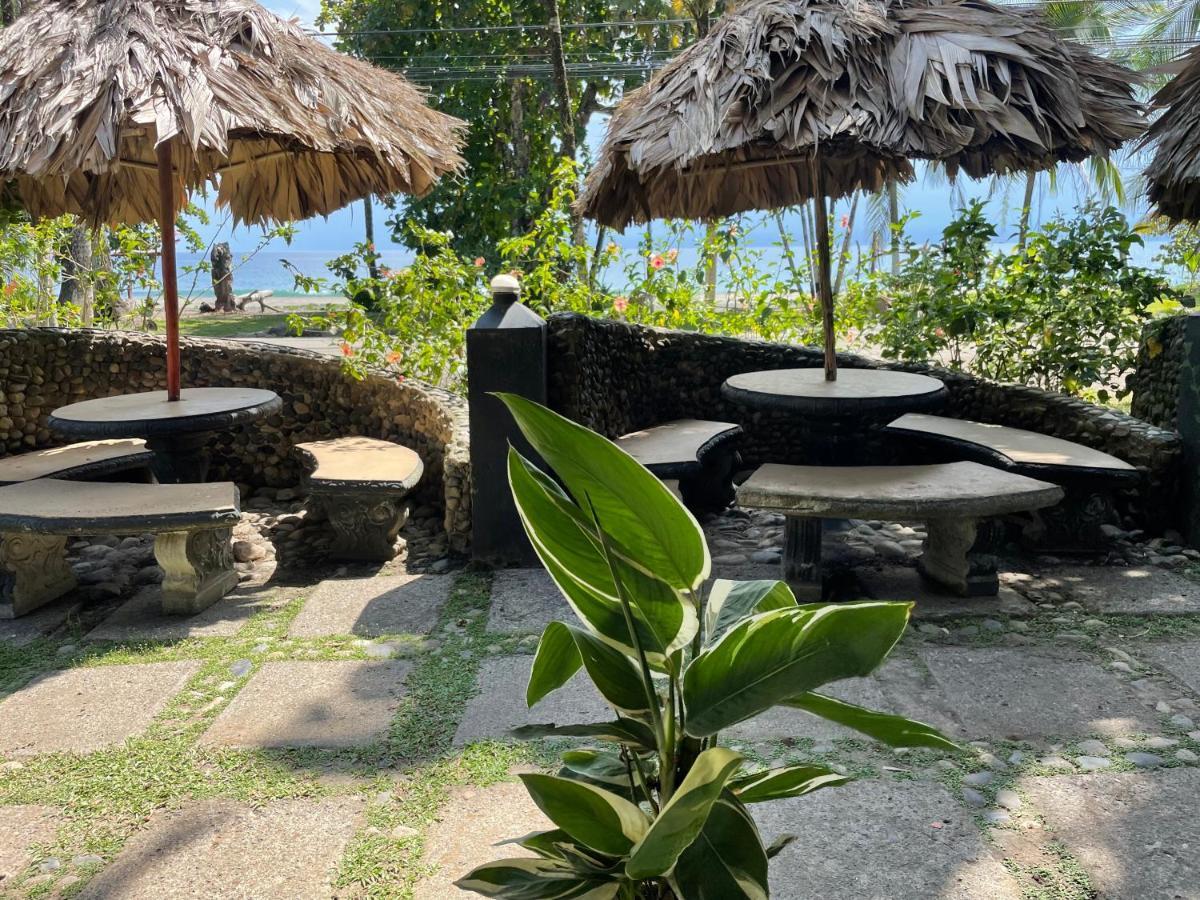 Perla Negra Beachfront Puerto Viejo de Talamanca Dış mekan fotoğraf