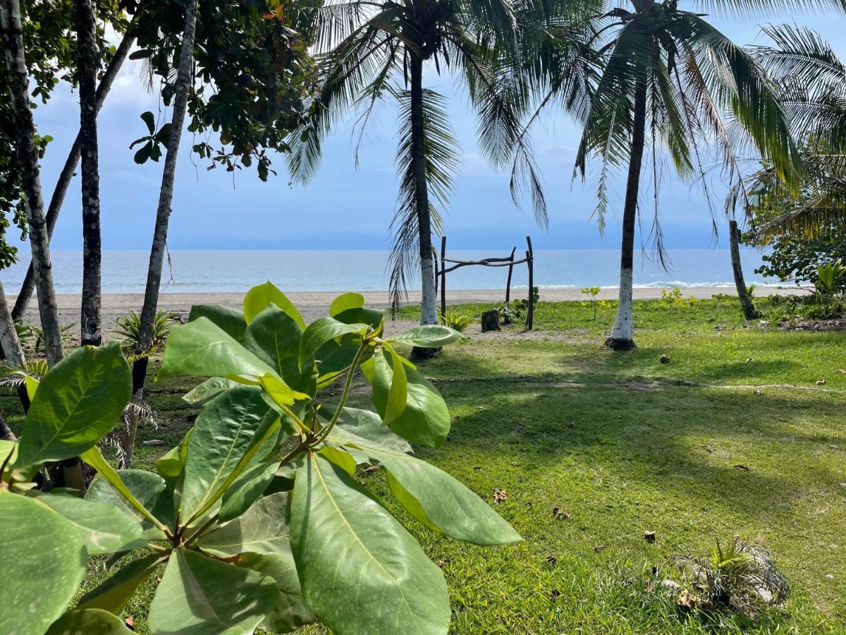 Perla Negra Beachfront Puerto Viejo de Talamanca Dış mekan fotoğraf
