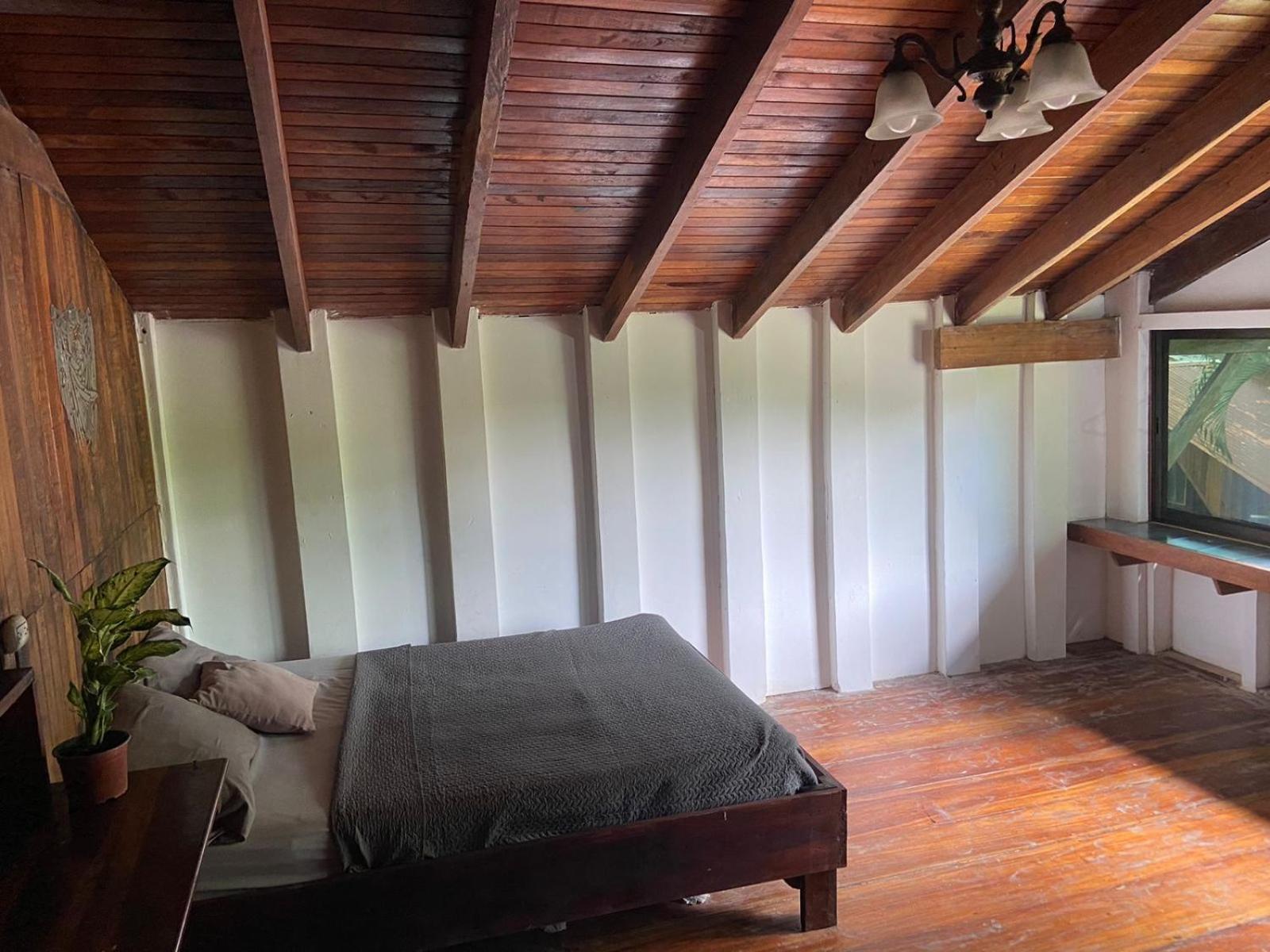 Perla Negra Beachfront Puerto Viejo de Talamanca Dış mekan fotoğraf