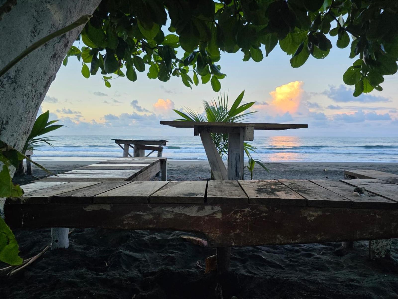 Perla Negra Beachfront Puerto Viejo de Talamanca Dış mekan fotoğraf
